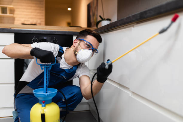 Best Termite Control Services  in North York, PA