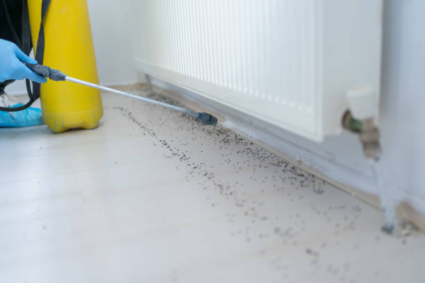 Pest Control Cost in North York, PA